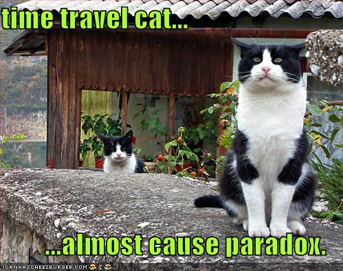 time travel cat...